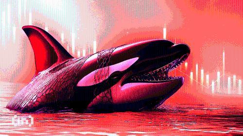 比特币价格走势承压：巨鲸资金流入与流动性危机预警