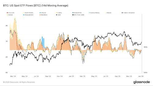 XRP价格走势领跑十大代币，比特币ETF资金流入创纪录