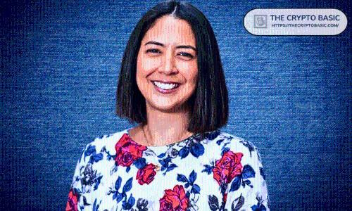 Ripple总裁确认无上市计划 融资后估值达400亿美元