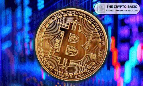 比特币价格走势趋缓：链上数据揭示长期持有者获利了结迹象