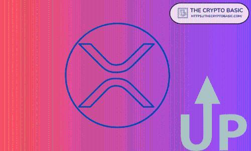 XRP价格走势逆转？RSI信号预示新一轮上涨