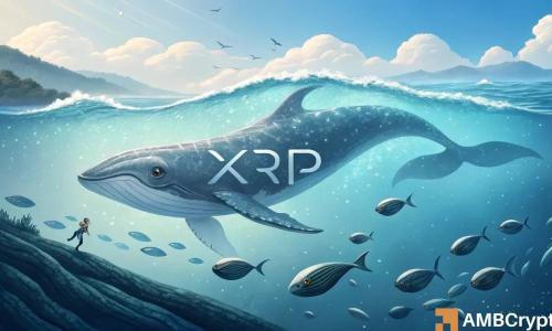 XRP价格走势回暖 巨鲸囤积推动市场信心