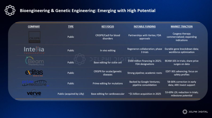 山寨币回报将持续分化