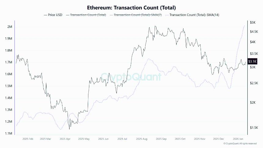 以太坊价格预测：网络稳步增长，买盘势头再度来袭