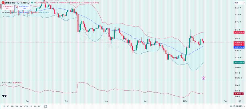 Shiba Inu Price Analysis