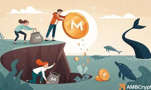 门罗币价格回落：资金外流与巨鲸操作引发市场震荡