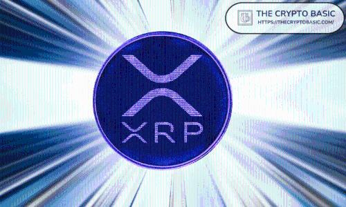 XRP跻身十大搜索量最高的现金标签，智能功能推动金融互动