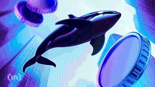 莱特币巨鲸活跃预示价格反转？链上数据揭示潜在机会