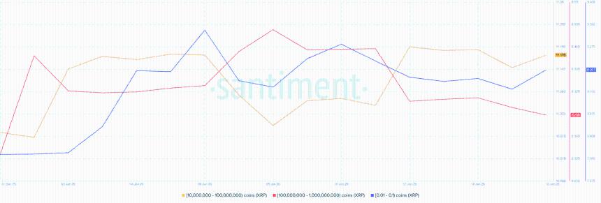 XRP Whale and Retail Accumulation Santiment