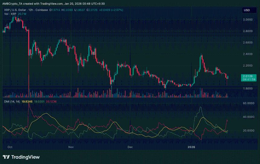 XRP市场结构再现2022年初特征：短期买家低价囤积，长期持有者承压