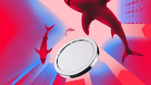 DASH休眠币激活与鲸鱼集中度飙升：隐私币风险预警