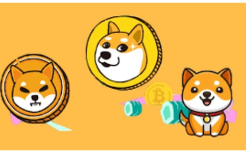 SHIB巨鲸提币3610亿枚：链上数据揭示供应端结构性收紧