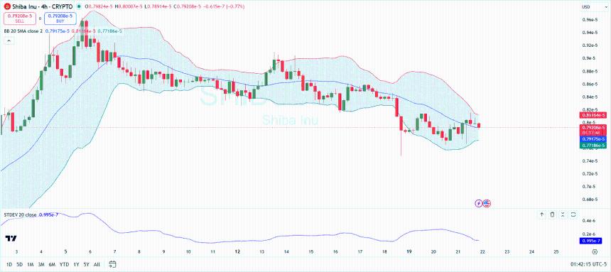 Shiba Inu Price Analysis