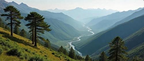 张坤4100点首发声：AI、消费与国运背后的长期逻辑