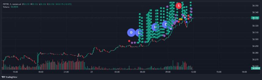 PIPPIN飙升27.5%：0.5美元目标价能否实现？
