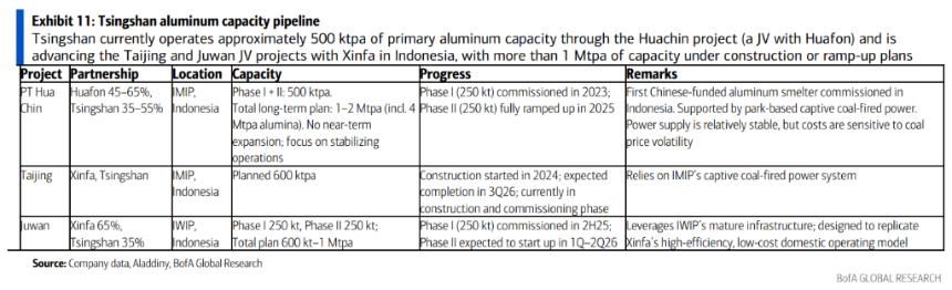 青山集团：从镍矿与不锈钢巨头迈向铝业及新能源电池领域