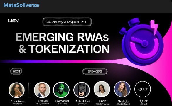 MSVP代币发行日期：空投50万枚代币后，MSVP代币价格有可能达到1美元吗？