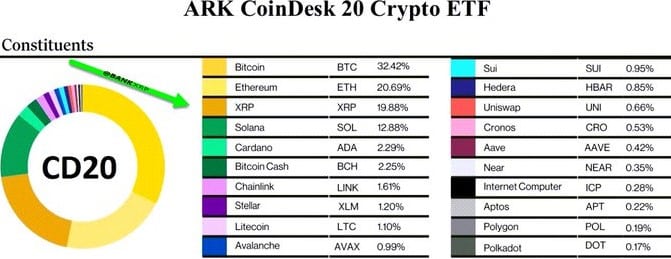 Ark CoinDesk 20 ETF 成分股