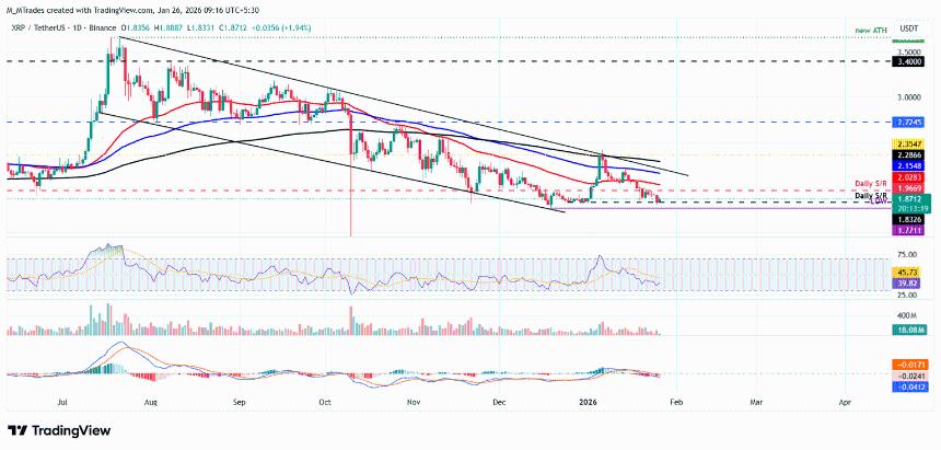前三名价格预测：比特币、以太坊、瑞波币——BTC、ETH 和 XRP 在近期回调后略有回升。