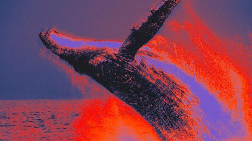 以太坊巨鲸9年沉寂后转出3.97亿美元ETH，2017年买入价仅90美元