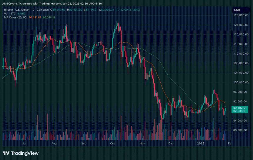 华尔街与黄金价格齐创新高，比特币复苏势头待观察