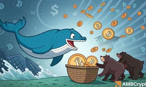 比特币巨鲸增持1000枚价值8920万美元，币安OKX需求回升但美国抛售压力仍存