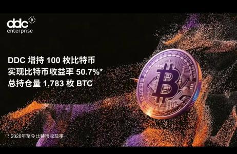 DDC比特币持仓达1783枚！金库规模升至全球第36位