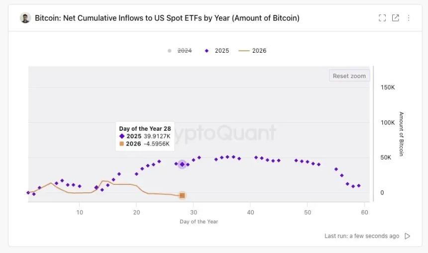 跟跌不跟涨，比特币为什么又暴跌了？