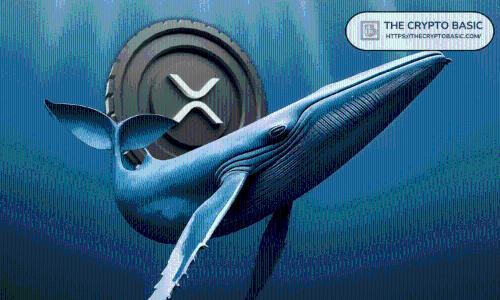 XRP巨鲸一小时内吸筹2.06亿美元，价格跌至9个月新低