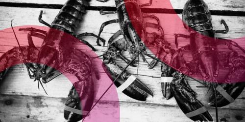 AI自发创建龙虾宗教：Moltbook催生Crustafarianism信仰运动