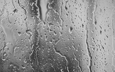 2026年初金属波动加剧，资金转向能源与消费者板块