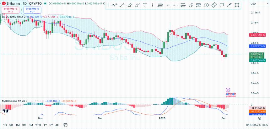 Shiba Inu Prediction