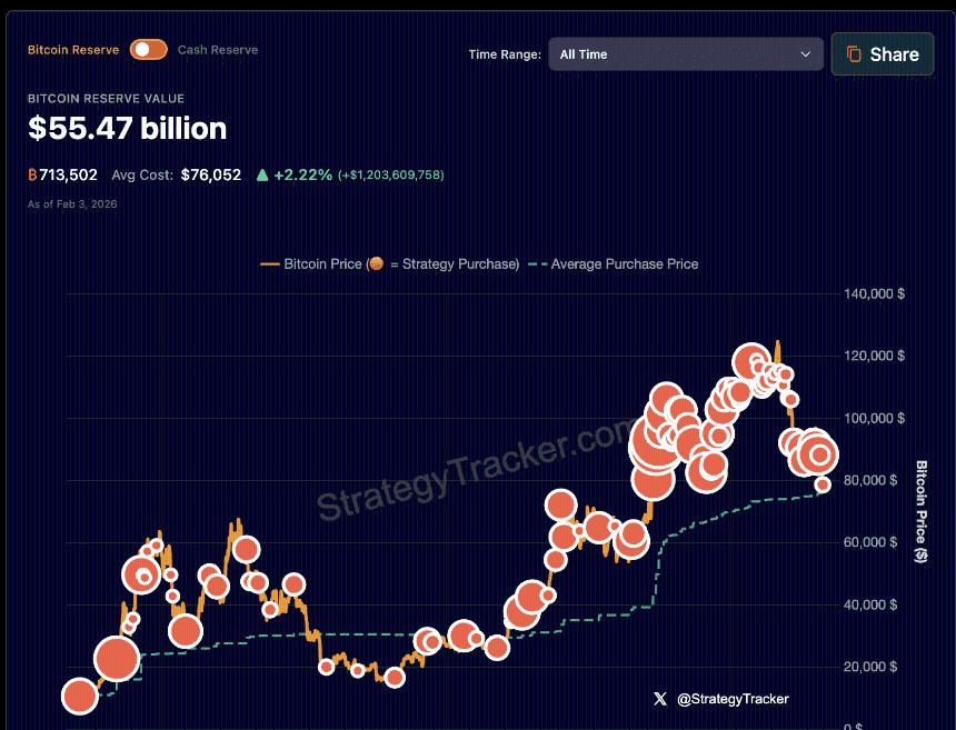 Strategy's Bitcoin Porfolio