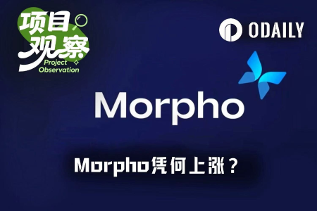 Morpho逆势翻倍挑战Aave借贷王座：机构入场与治理革新成关键
