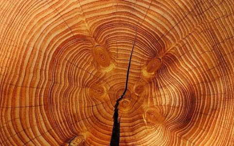 2026年美国经济放缓真相：就业数据失真与AI投资见顶