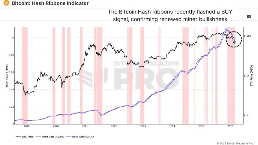 比特币的核心玩家并未投降——他们正在买入
