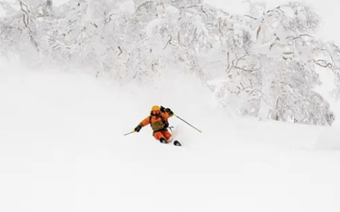 Hyperliquid HYPE代币目标价150美元？比特币熊市中的高潜力交易所资产