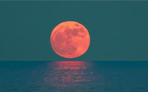 石油美元困局：老挝加油站的启示与全球秩序重构