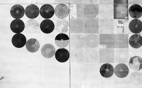 油价飙升至113.82美元/桶 欧洲央行加息预期升温