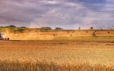 伊朗战争如何推高全球化肥与粮食价格？影响及应对策略解析