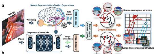 浙大研究团队提出新路径：把人脑理解世界的方式教给 AI