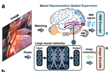 浙大研究揭示AI抽象能力瓶颈：模型越大反而越难理解概念