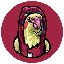 BIRDBRO
