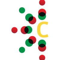 CAJLOGO图片