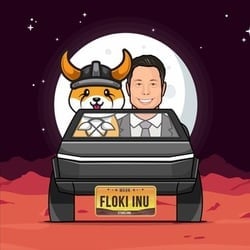FLOKILOGO图片
