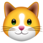 KIF