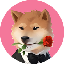 VDOGELOGO图片
